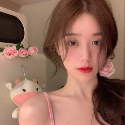 完美的骗子